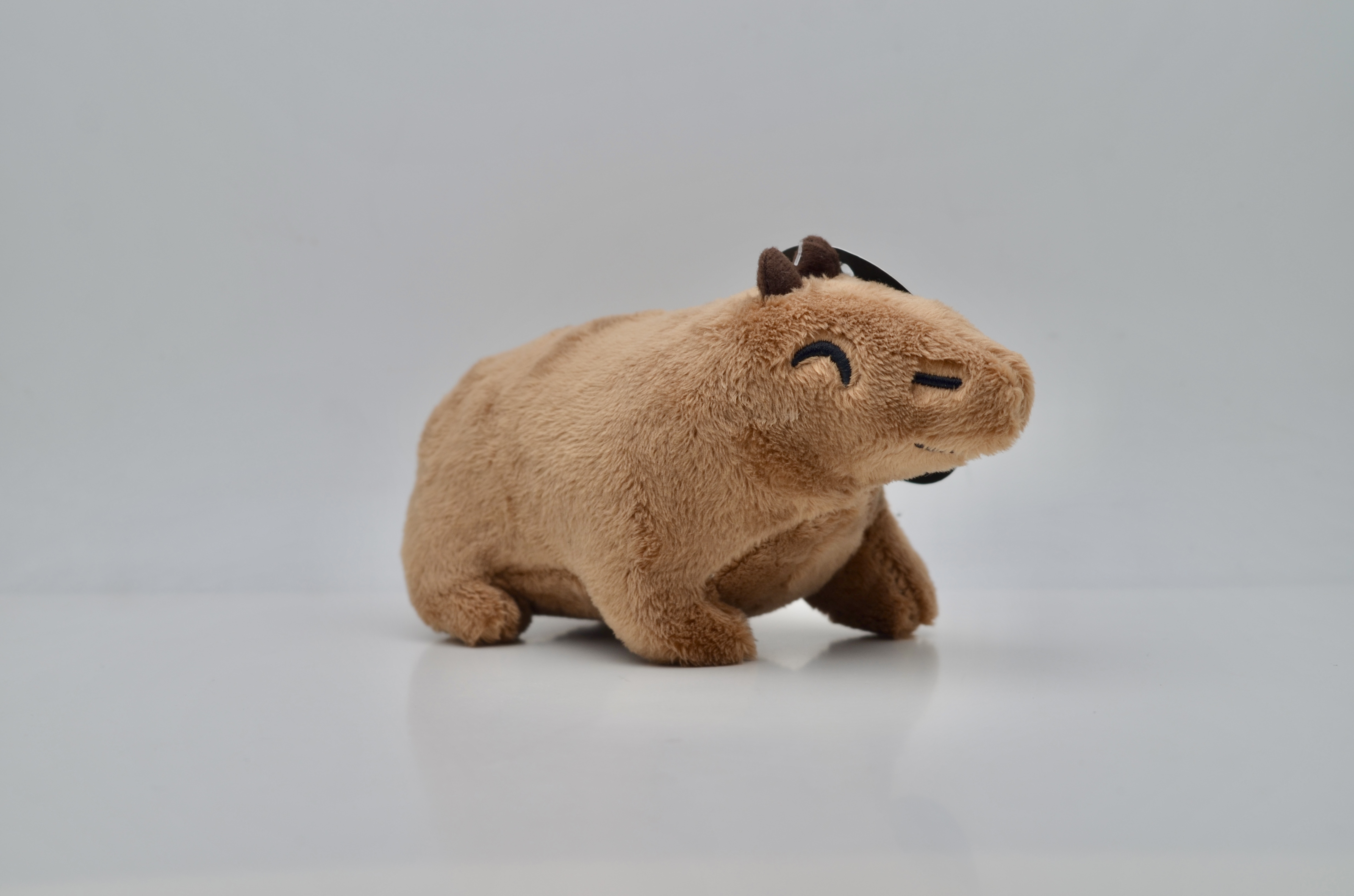 Capybara Klein